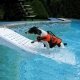 SKAMPER RAMP Rampa Risalita Cani e Gatti Antiannegamento per Piscina