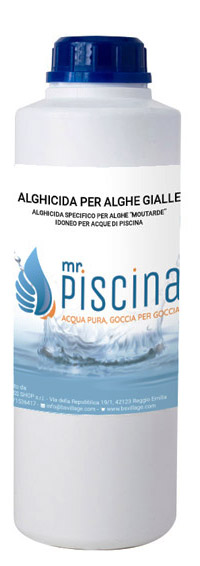 Alghicida alghe gialle piscina