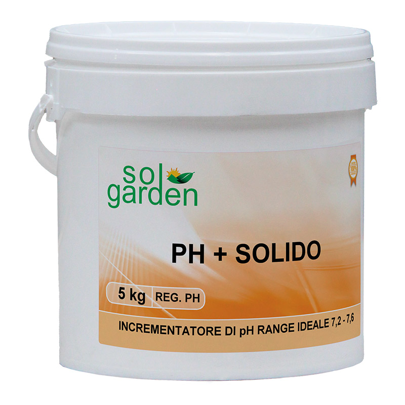 Correttore pH plus piscina granulare