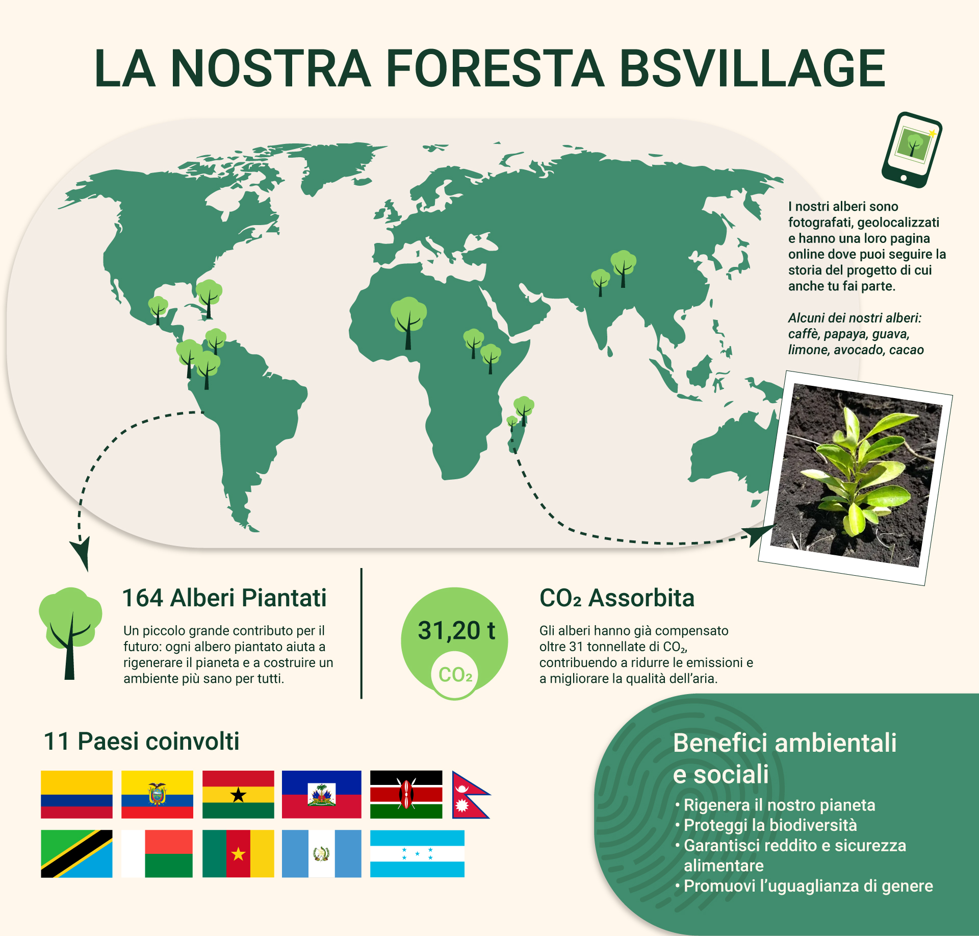 Infografica BSV for the planet
