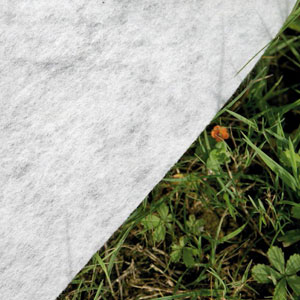 Telo di sottofondo per piscina in legno composito WPC WOOD CONNECT