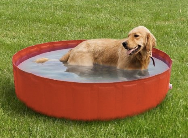 Piscinetta per cani