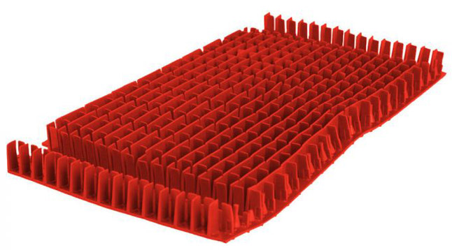 Spazzola combinata rossa Dolphin - D6101670
