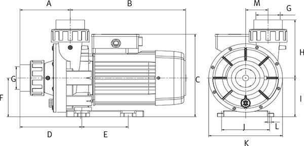 Schema Pompa per idromassaggio WIPER3 M 2P4P Espa - da 0,25 a 2 HP