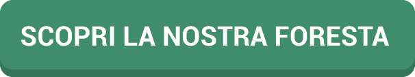 Scopri la nostra foresta