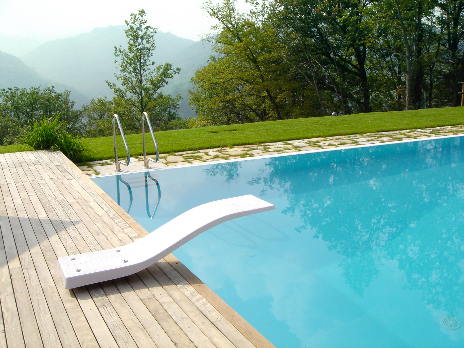 Trampolino per piscina delfino