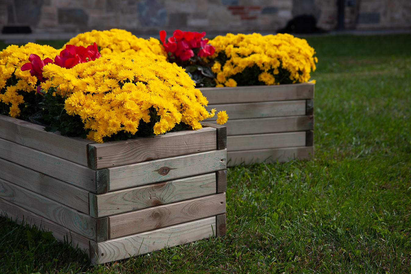 Fioriera in legno TULIPANO