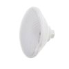 Lampada Ledinpool Ecoproof PAR56 - 60 LED Bianchi - 1450 lm